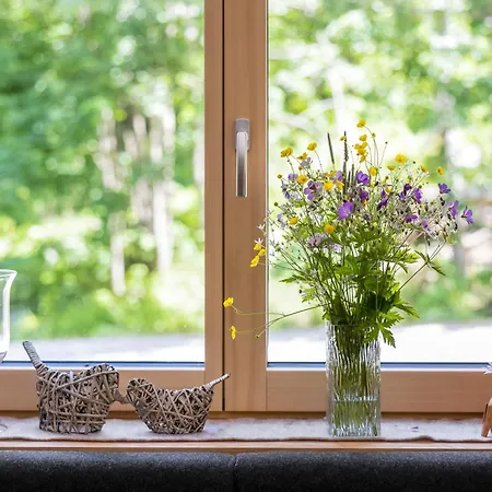 Lisas Vendégház Schröcken