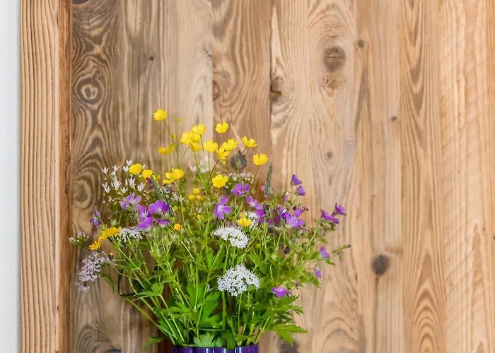 Maison d'hôtes Lisas